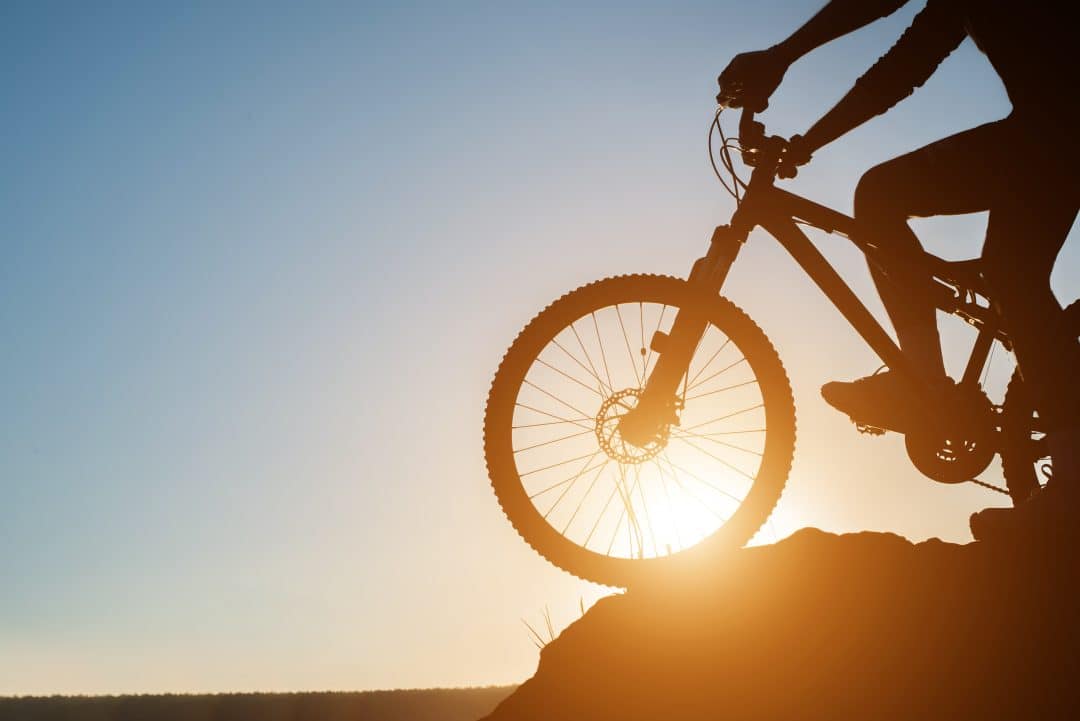 Hybrid | Terra BikeTours