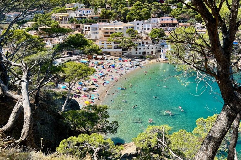 Turquoise cove framed by pine trees on the Costa Brava