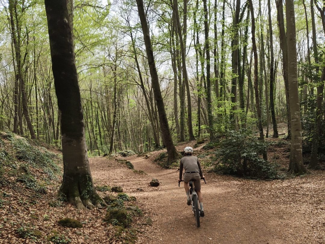 Gravel cyclist riding through a beech forest in Catalonia