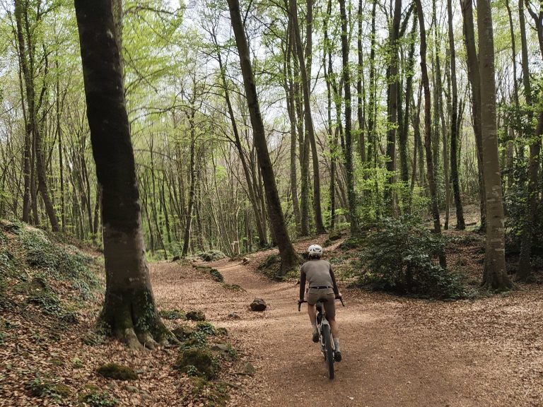 Gravel cyclist riding through a beech forest in Catalonia