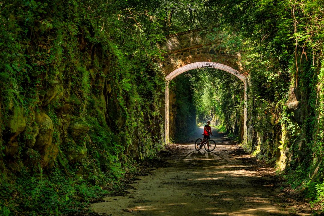 La Garrotxa volcánica, alrededor de Olot