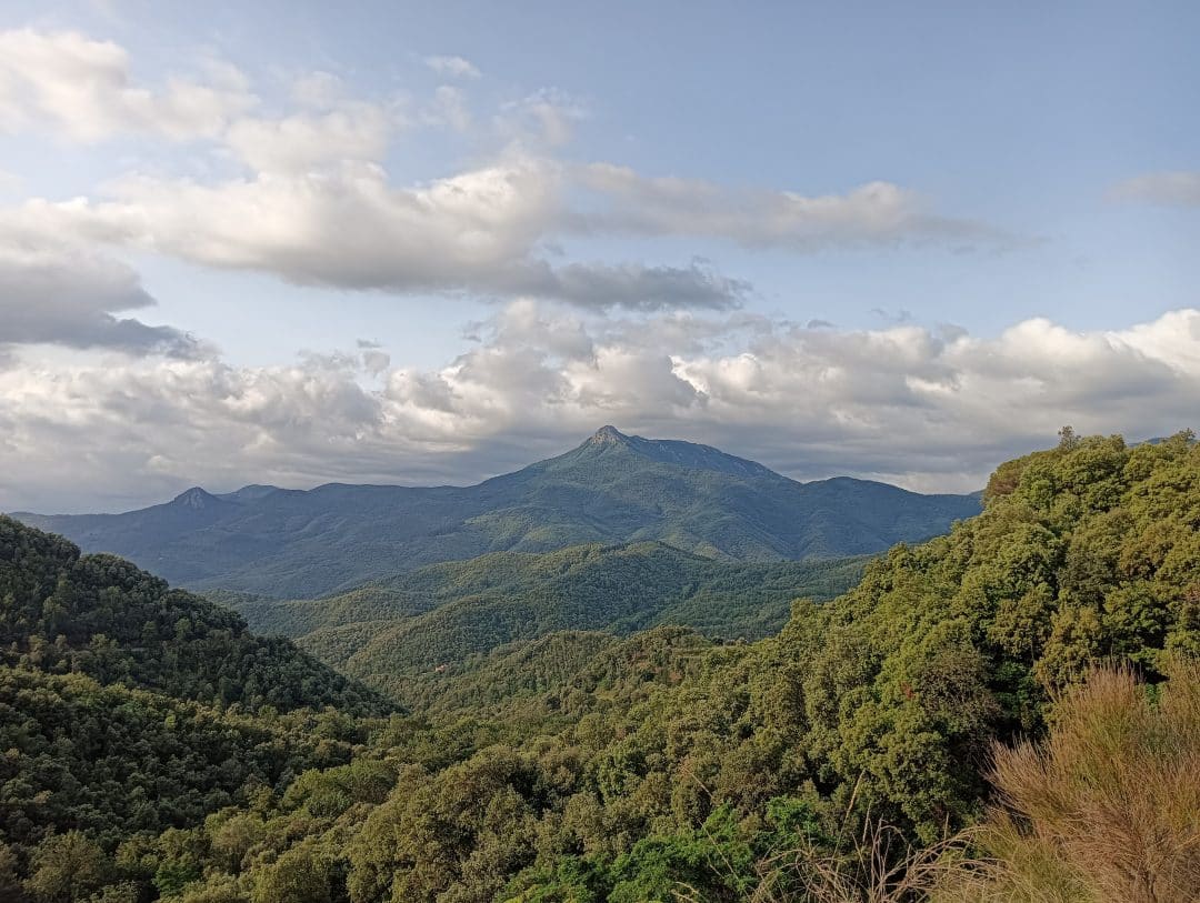 Forested valleys of the Montseny below Les Agudes, seen from Coll de Revell