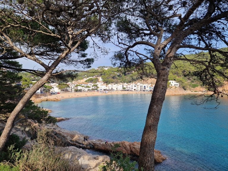 Tamariu bay seen through pine trees on the Costa Brava