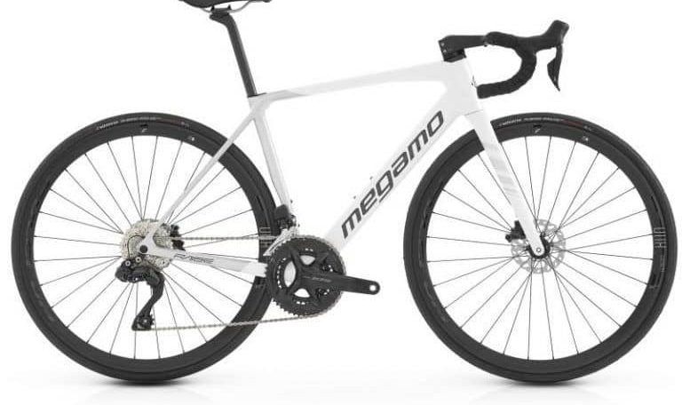 rent carbon road bike Disc Electronic Raise 15 Di2