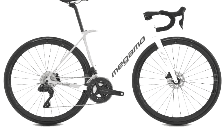rent carbon road bike Disc Electronic Raise 15 Di2